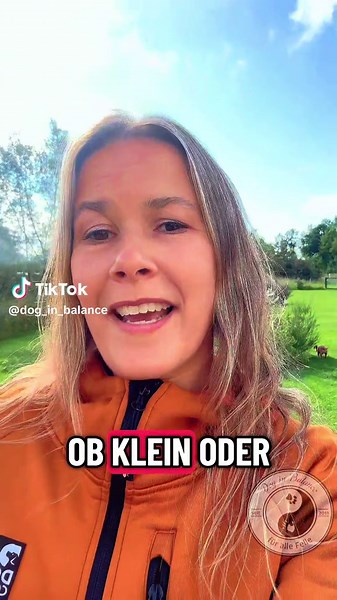 Crossdogging: Beschäftigung für dein Fellkind