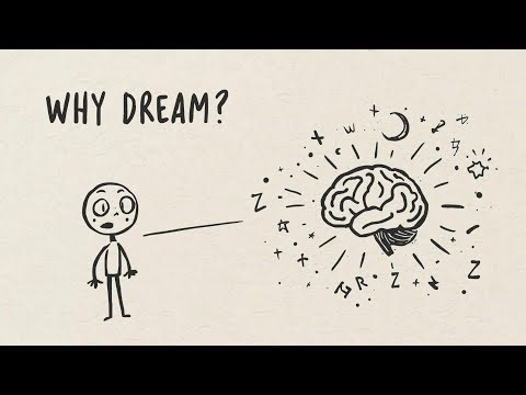 Why Do We Dream? Scientists Finally Reveal the Truth