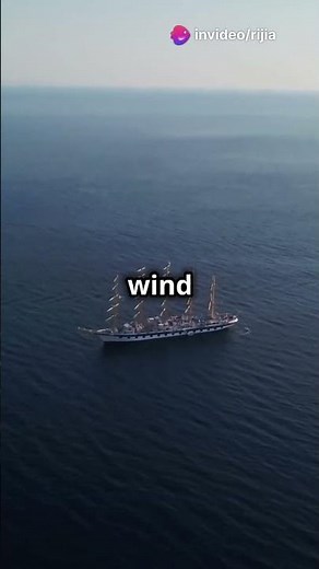 Discover the Two Main Types of Sails