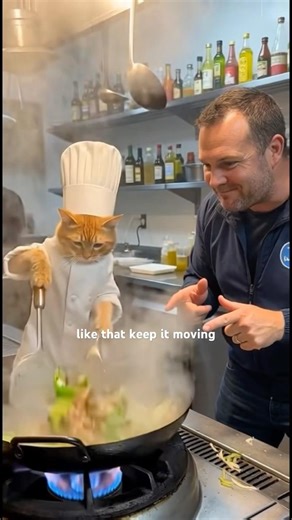 Cat Chef learns to COOK🥘🐈 #shorts