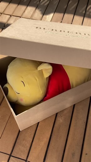 Adorable Sleeping Winnie the Pooh Plushies | Disney #winniethepooh