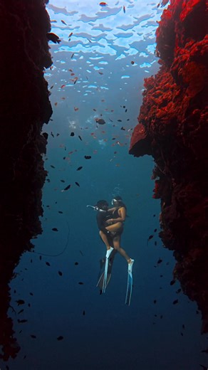 Exploring the Depths: Couple's Freediving Adventure in Bohol, Philippines