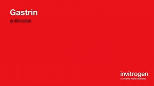 Gastrin antibodies from Thermo Fisher Scientific