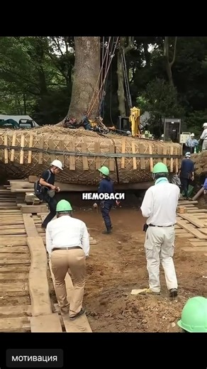 1.6K reactions · 267 shares | Iveta Rasa on Reels | Facebook