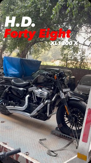 New Citizen Motors on Instagram: "SOLD From our garage to a new state, a new story begins. Harley-Davidson Forty-Eight on the move 🏍️✨ Harley Davidson Forty-Eight Harley 48 pre owned Harley used superbikes cruiser motorcycles Harley for sale black Harley 2019 Harley Davidson used bikes premium pre owned bikes Harley cruiser motorcycle sale Explore Content Reel Viral Harleydavidsonindia Trending Ride Street City Harley Davidson Budget Luxury Cruiserbikes Vintagebikes Roadglide Streetbob Fatboy F