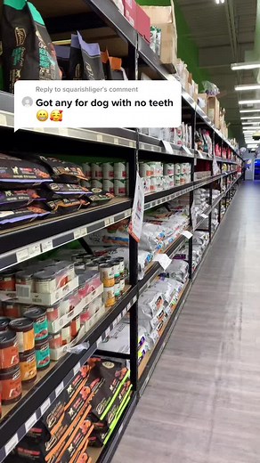 Reply to @squarishliger What’s YOUR favorite treat for your doggo with no teeth?? #fypシ