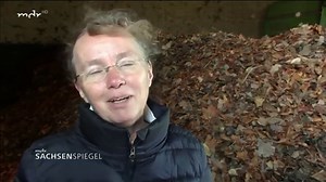 315K views · 75 reactions | Das Thema Heizen beschäftigt gerade viele Menschen. Im Vogtland hat sich die "Forschungsgesellschaft für dezentrale Energiesysteme" etwas Besonderes einfallen lassen. Aus Herbstlaub pressen sie Pellets, die dann zur Wärmeerzeugung verbrannt werden können.  | Unser Land | Facebook