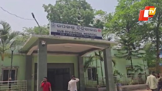 13 reactions | Bee Attack Turns Fatal: Odisha Woman Dies After Swarm Stings #beeattack #odisha #honeybee #otvnewsenglish #otvnews | OTV News | Facebook