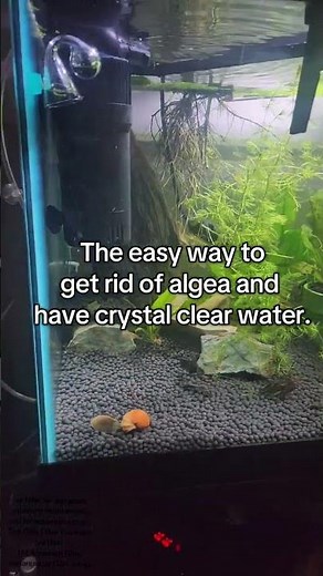 AquaMiracle UV Filter for aquariums