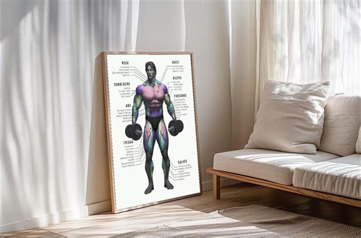 Bodybuilding Chart Poster Gym Workout Guide Muscle Anatomy Print Poster Decorate Living Room Study Room - Etsy