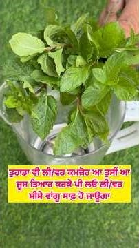 ਤੁਹਾਡਾ ਵੀ ਲੀ/ਵਰ ਕਮਜ਼ੋਰ ਆ ਤੁਸੀਂ ਆ ਜੂਸ ਤਿਆਰ ਕਰਕੇ ਪੀ ਲਓ ਲੀ/ਵਰ ਸ਼ੀਸ਼ੇ ਵਾਂਗੂ ਸਾਫ਼ ਹੋ ਜਾਊਗਾ