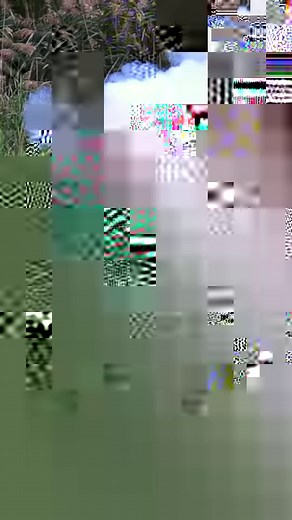 Taryl & Junior go… DUCK HUNTING 🦆 Streaming Now @ Taryl Fixes All Skits | Taryl Fixes All