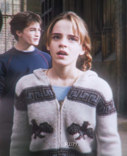 Hermione Granger Tribute Song Edit
