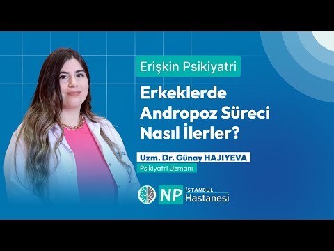 How does the andropause process progress in men?