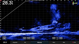That's a diver, and that's underwater wreckage. That's #PanoptixLiveScope. #GarminMarine | Garmin Marine