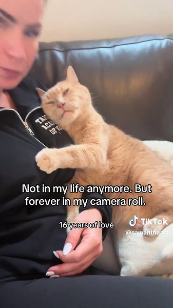 Snow White n the 3 freeloaders (@samanthaact)’s video of camera roll