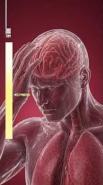 What Alcohol Does to Your Body