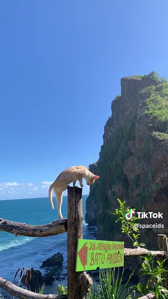 Wonogiri 24 Jam Pantai Karangpayung: viral meme reaction