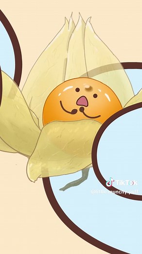 Who gave me a new skin? #littlemunchypuff #小精怪 #零食 #美食 #Snacks #nuts #candy #peanuts #fruit #food #cartoon #foodstagram