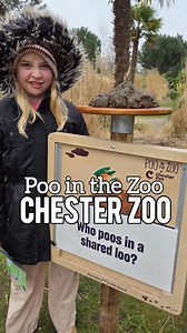 9.3K views · 11 reactions | A Poo Trail, Poo Museum and a Poo Party...
