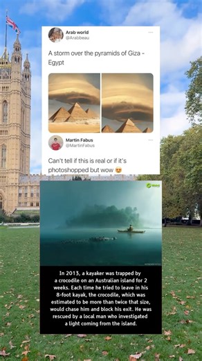 Kayaker Trapped by Crocodile on Australian Island 2 Weeks—16-Foot Croc Chased Him #Nature #Survival