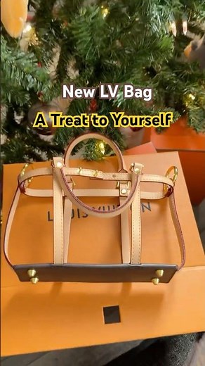 Best LV Bag - Gift to Reward Yourself at the Year End