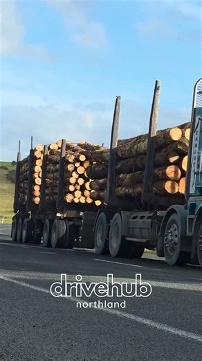 BIG BOY LOGGERS 💪🏾 Kenworth K200 & K104 Convoy to the Port 👊🏾 #Shorts