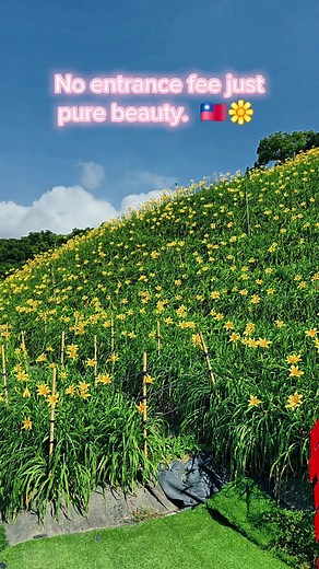 Pretty girl in this beautiful place. 🇹🇼 #pinoyintaiwan #ofwlife #expatlife #Taiwan #foryou #fyp #nature