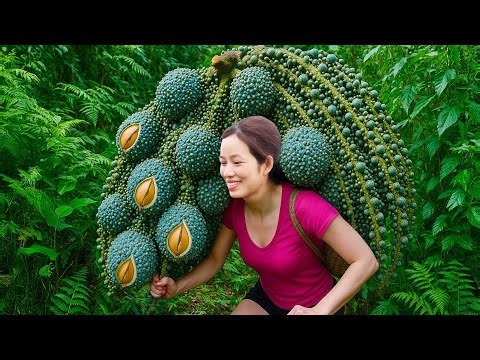 Climbing a Tall Jungle Tree to Harvest 1,000+ Macadamias | Rare Nut Milk Sells Out at Village Market