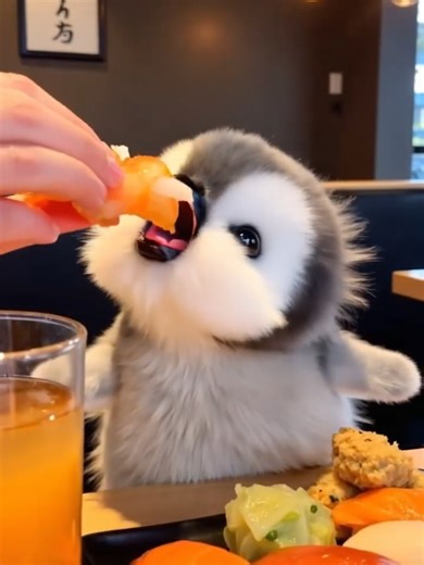 Adorable Fluffy Penguin Enjoys Pizza