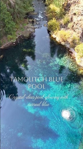 Tamolitch Blue Pool Oregon Hike | Stunning Crystal Clear Water & Scenic McKenzie River Trail | PNW