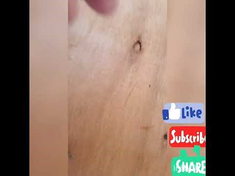 hyper tough heavy duty staple gun