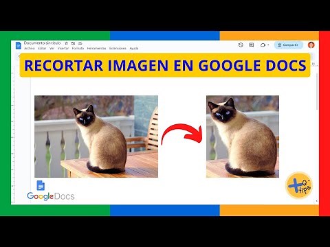 RECORTAR IMÁGENES en GOOGLE DOCS