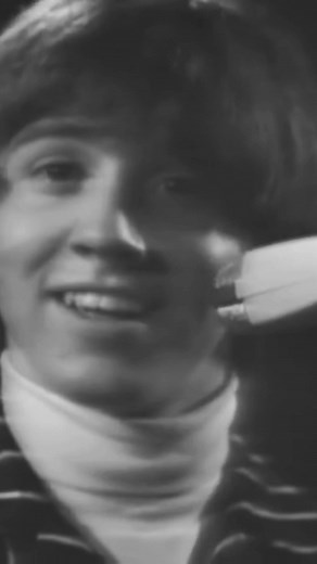 Friday On My Mind - The Easybeats, 1966 #theeasybeats #60s #60smusic #fyp #vintage