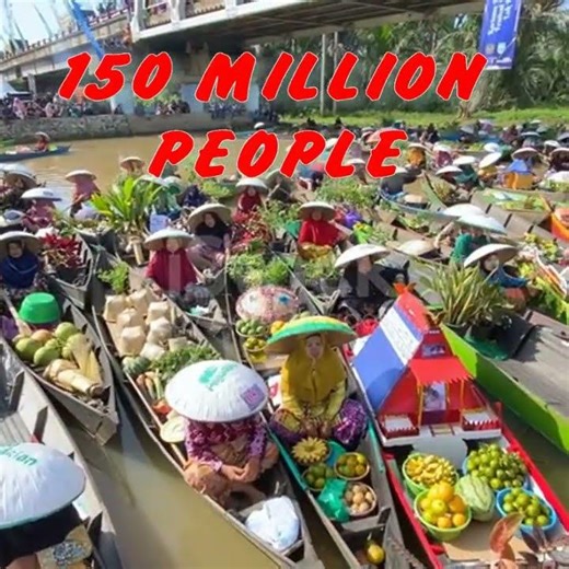 The most populated island in the world #facts