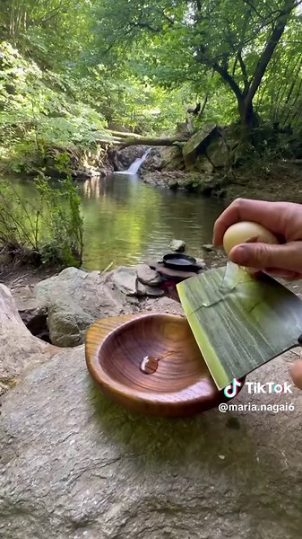 Cocinando en la Naturaleza - María Nagai