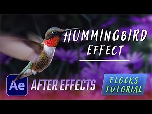 Flying Hummingbird Effect - After Effects / Flocks Tutorial