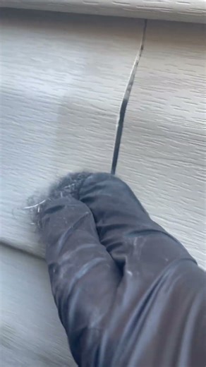 Prevents your home rodent infestation.