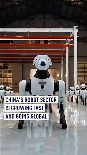 China’s robot sector is growing fast and going global