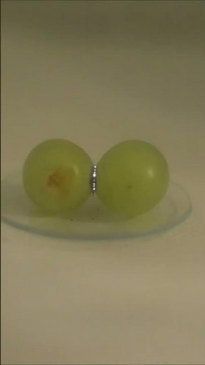 Why Grapes Create Plasma in a Microwave 🔥 (Science Behind the Viral Experiment!)