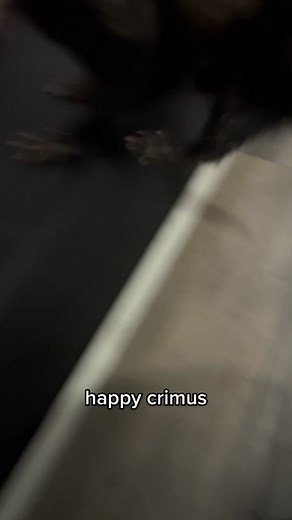 Ferret Christmas Celebration: Happy Crimus and Merry Chrysler