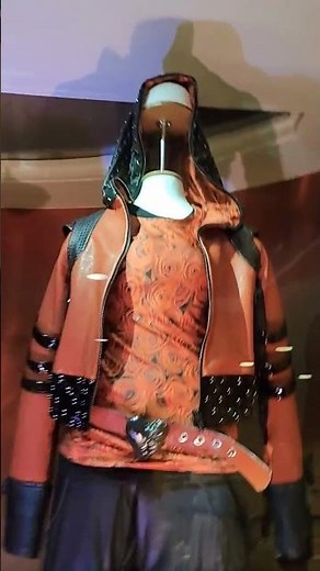 The original costumes of descendants the rise of red