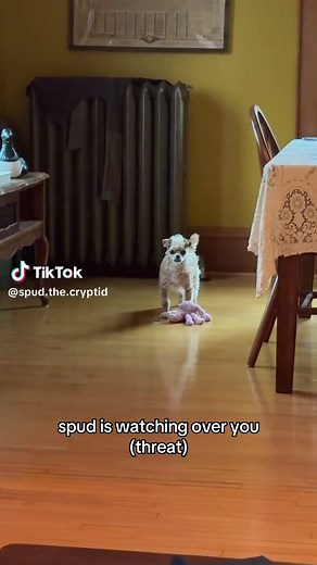 Spud the Cryptid: Levels & AI Encounters