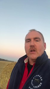 3.7K views · 178 reactions | Today on the farm❤️ Bailing corn fodder for bedding. The importance of dry bedding for our cattle has always been one of our family’s priorities. It is an essential part to ensure our cattle can grow in a healthy environment. In the colder months, it provides the necessary warmth for cattle to keep our animals warm on cool, wet weather. It also cushions the animal from the ground or floor of our barn to protect its joints￼. | Frobose Meat Locker | Facebook