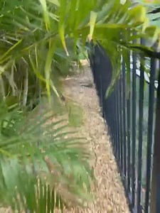 Check out the landscape situation here on this travertine pool deck team 3 is working on today in Lithia, FL. | Dura Guard Paver Sealing - Pasco, Hernando, Pinellas, Tampa