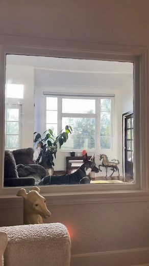 Olivia Taylor Dudley on TikTok