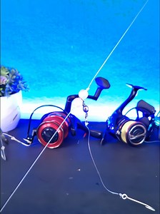 Effective Simple Fishing Rig Techniques