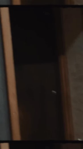 New tune DREAM COME TRUE out tomorrow! Pre- Save at 🔗 in bio, baby. | Langhorne Slim