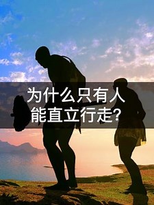 #科普 #人类观察 #人类进化史 为什么人类要直立行走？