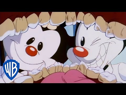 Animaniacs | The Worst Dentists | Classic Cartoon | WB Kids